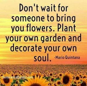 Meet your Posher, Ann